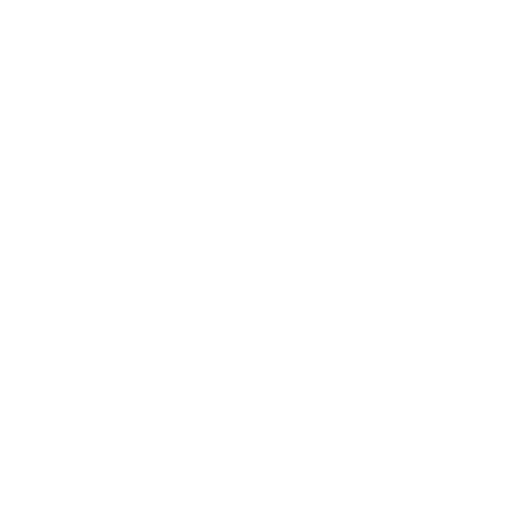 BSO logo in white